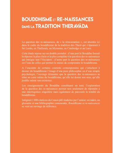 Didier Treutenaere - Bouddhisme et re-naissances 4e de couverture
