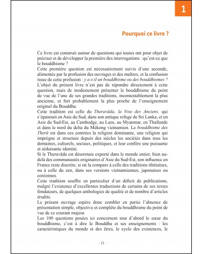 Didier Treutenaere - 100 questions sur le bouddhisme page 11