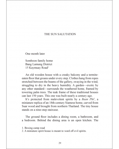 Serge Tréfeu - Page 29 from The Ambassador of Pattaya