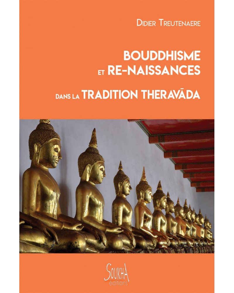 Didier Treutenaere - Bouddhisme et re-naissances couverture