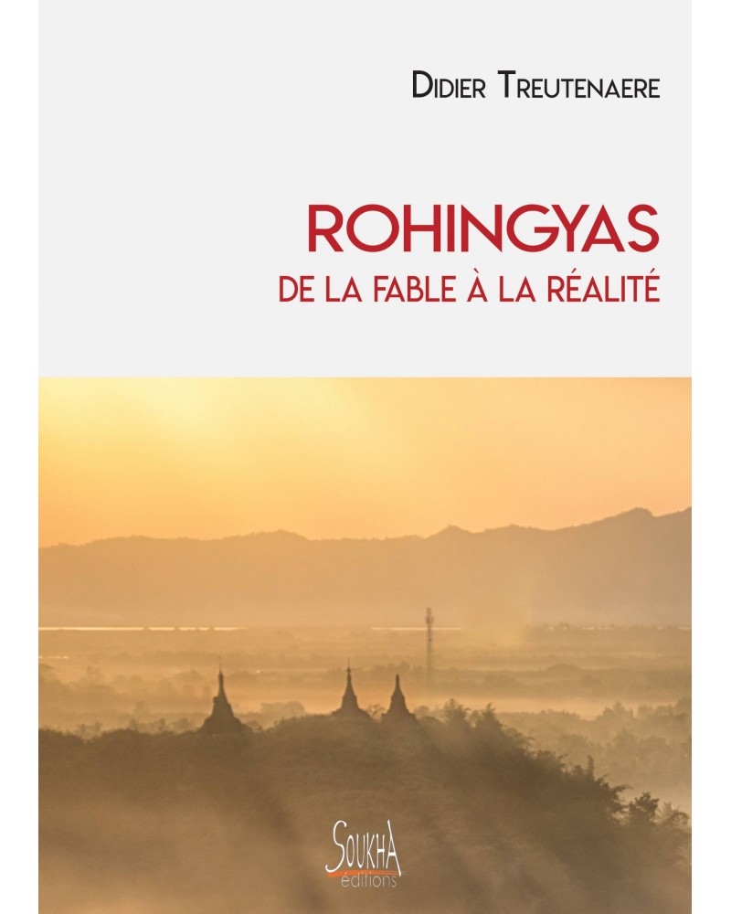 Didier Treutenaere - Rohingyas de la fable à la réalité couverture